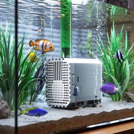 Aquarium water pump installed in a planted tank